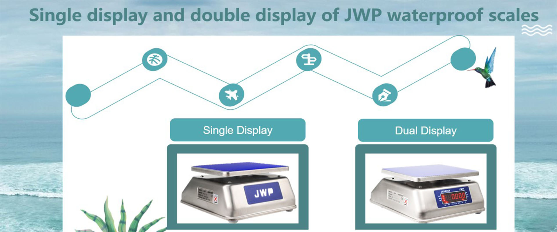 شاشة عرض واحدة وشاشة مزدوجة لموازين مقاومة للماء JWP
